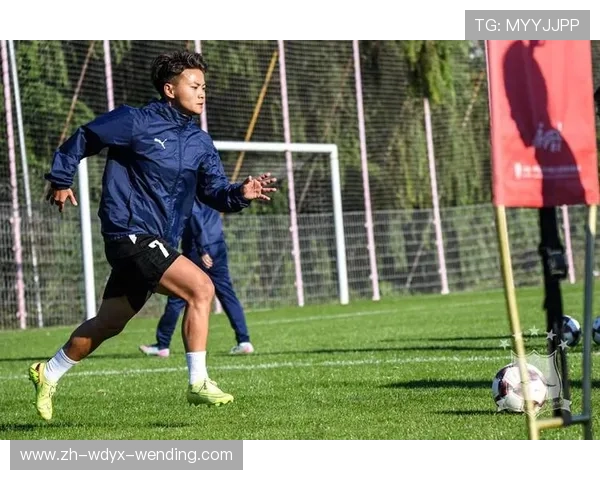 西甲CCTV直播视频资源,官方授权高质量赛事转播