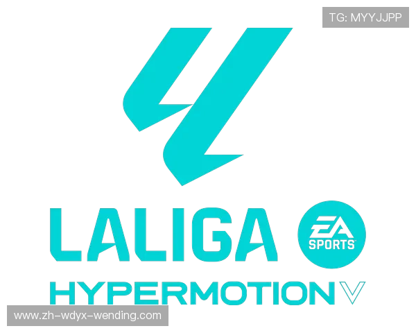 西甲联赛乙级联赛（Segunda División）概览：西甲第二级联赛全解析